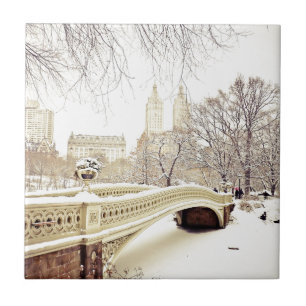 Central Park Snow - Winter New York Tile