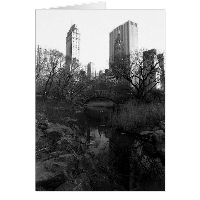 Central Park South Skyline NYC (Front)