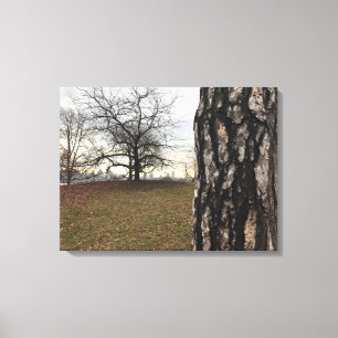 Central Park Sunrise NYC New York City Photo Canvas Print