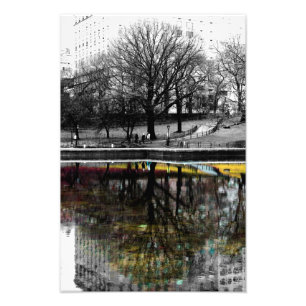 Central Park Tree Reflection Photo Print
