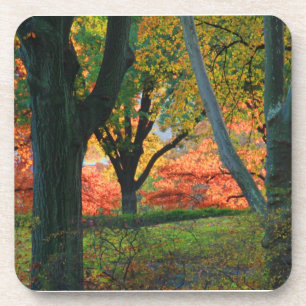 Central Park: Trees wearing their autumn finest 02 Coaster