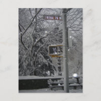 Central Park West New York City Snow NYC Blizzard
