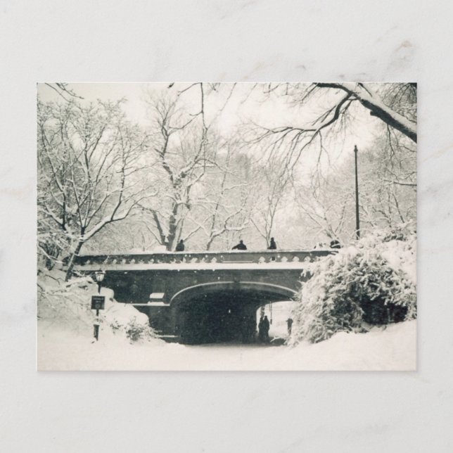 central park winter postcard (Front)