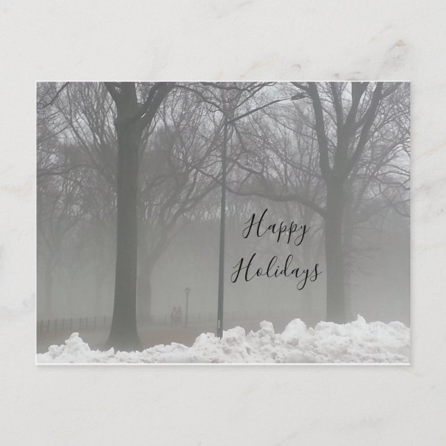 Central Park winter snow and fog Postcard (Front)