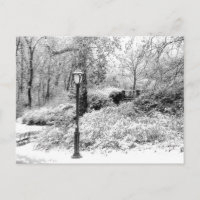 Central Park Winter Snow Landscape Photo