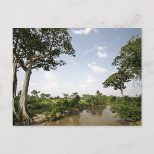 Central Togo, West Africa. Postcard