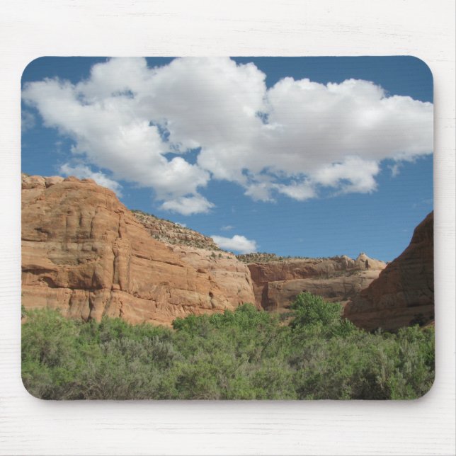 Central Utah Scenery Mouse Pad (Front)