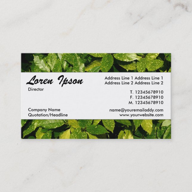 Centre Band 037 - Spotted Laurel Business Card (Front)