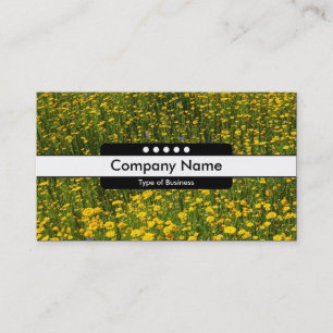 Centre Band 5 Spots - Bed of Yellow Daisies Business Card