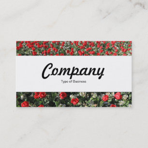 Centre Band  - Red Tulips and Primroses Business Card