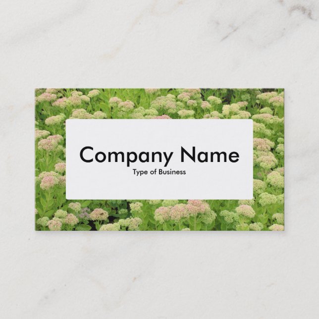 Centre Label v4 - Sedum (Autumn Joy) Business Card (Front)