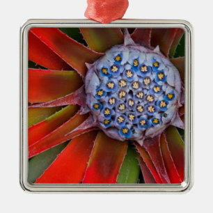 Centre of a blooming agave - San Francisco Metal Tree Decoration