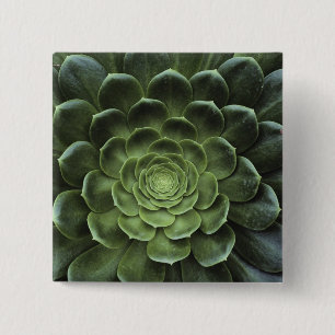 Centre of Cactus 15 Cm Square Badge