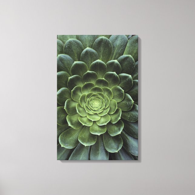 Centre of Cactus Canvas Print (Front)