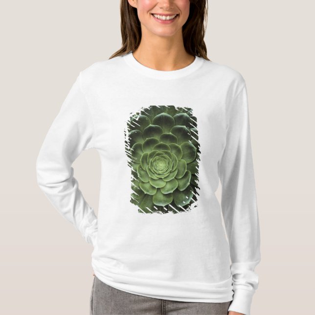Centre of Cactus T-Shirt (Front)