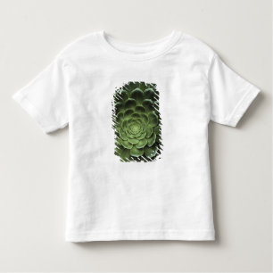 Centre of Cactus Toddler T-Shirt