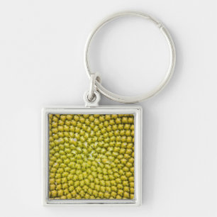 Centre of giant Sunflower (Helianthus annuus) Key Ring