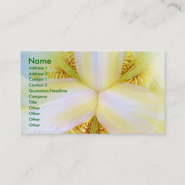 Centre of the Universe Business Card (Front)