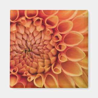 Centre Orange Dahlia Flower Magnet