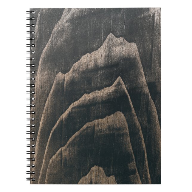 Centuries-Old Wood Grain Notebook (Front)