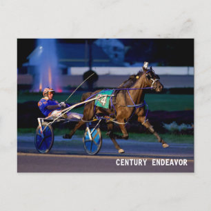 CENTURY ENDEAVOR POSTCARD