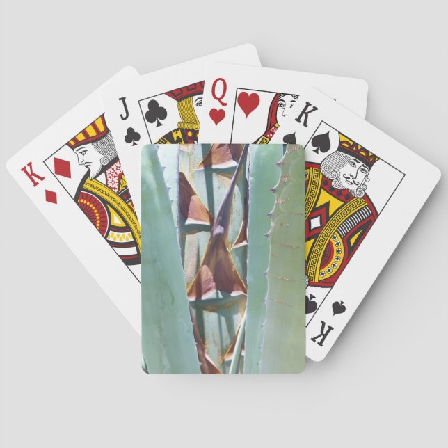 Century or Agave Playing Cards (Back)