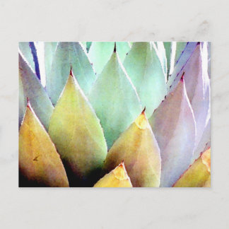 Century Plant No. 1 Postcard