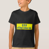 Ceo Of Dad Jokes Bbq Patriotic American Dad Art On