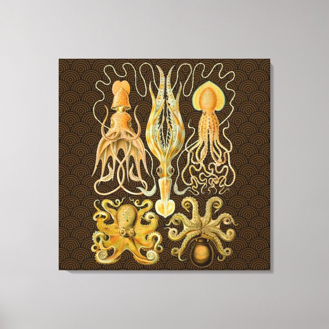 Cephalopod Octopus Squid Marine Nature Canvas Print (Front)