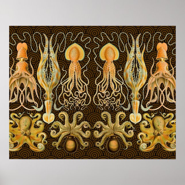 Cephalopod Octopus Squid Marine Nature Poster (Front)