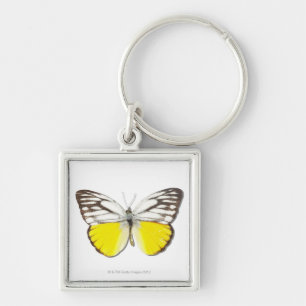 Cepora aspasia key ring