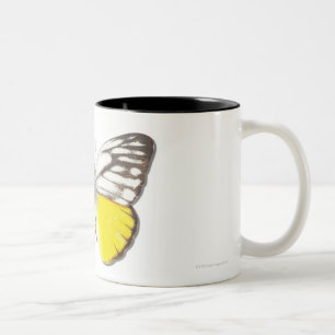 Cepora aspasia Two-Tone coffee mug