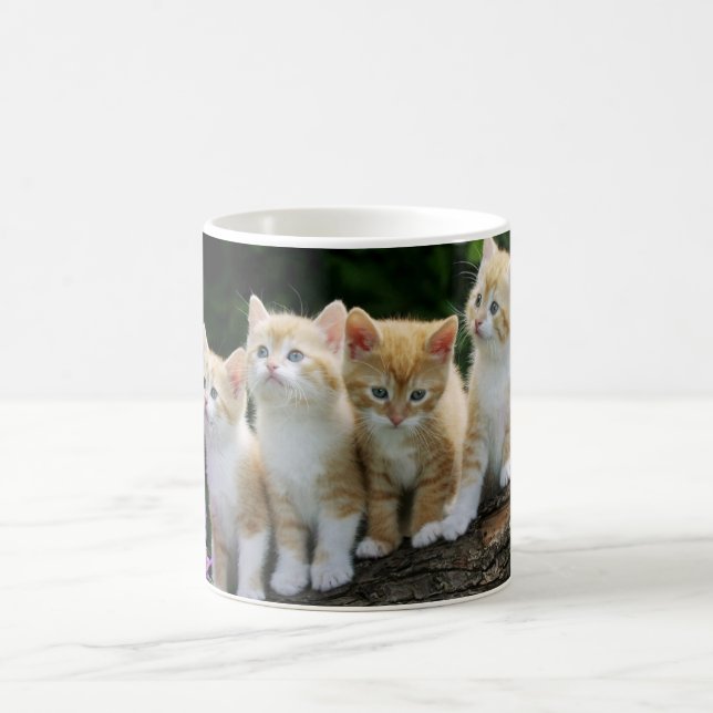 Ceramic Coffee Mug-Kittens Coffee Mug (Center)