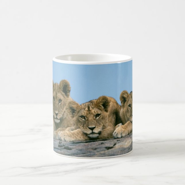 Ceramic Coffee Mug-Lion Cubs Mug (Center)