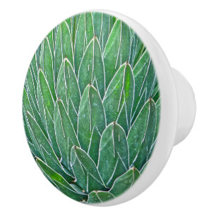 CERAMIC KNOB/AGAVE PLANT KNOB