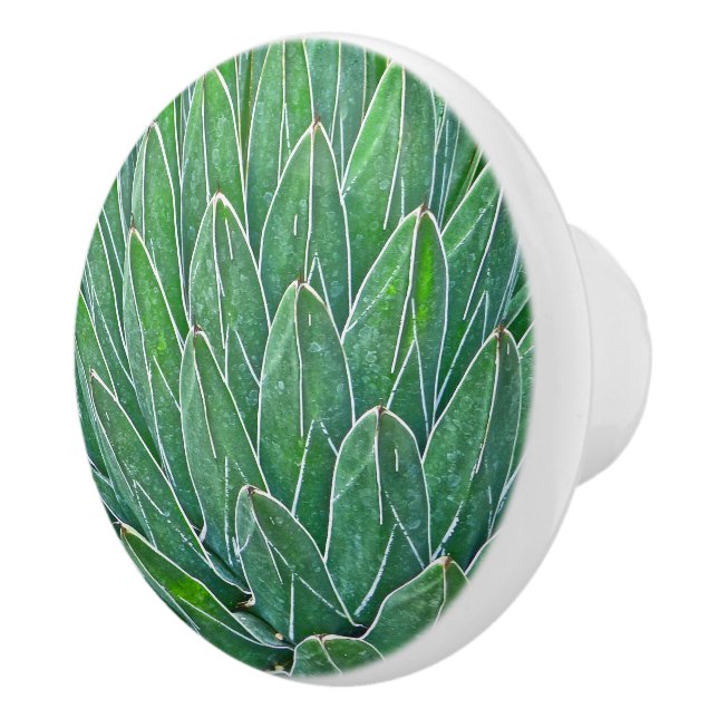 CERAMIC KNOB/AGAVE PLANT KNOB (Right)
