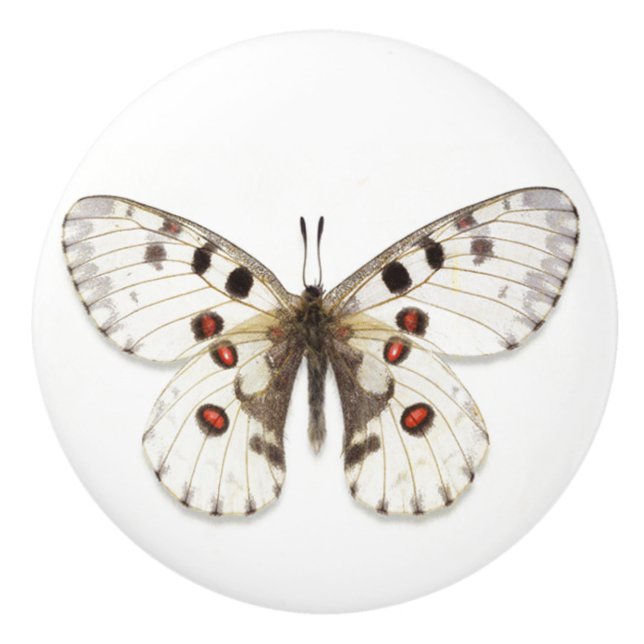 Ceramic Knob - White, Brown & Orange (Front)