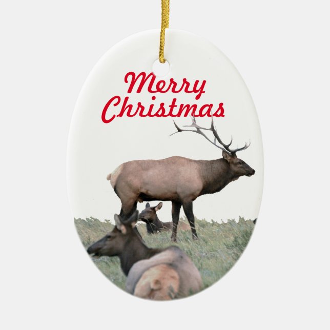 Ceramic ornament of elk (Front)