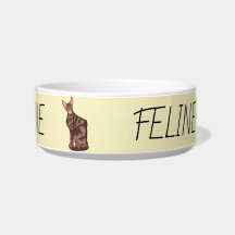 Ceramic Pet Bowl