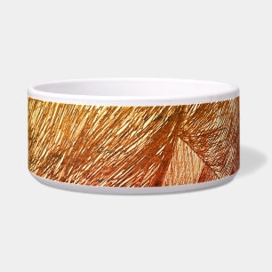 Ceramic Pet Bowl