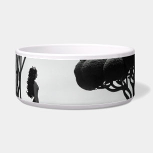 ceramic pet bowl