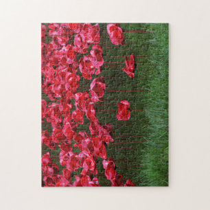 Ceramic Poppies Puzzle/Jigsaw Jigsaw Puzzle