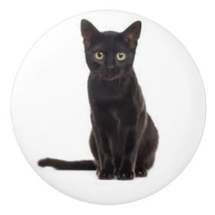 Ceramic Pull with a Black Cat