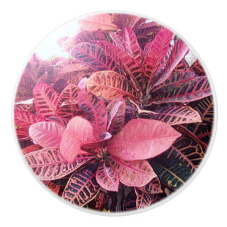 Ceramic splash colours pull