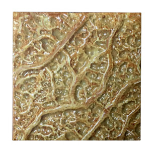 Ceramic Tile