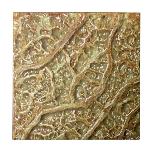 Ceramic Tile (Front)