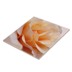 Ceramic Tile
