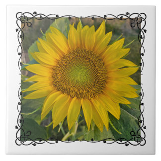 Ceramic Tile