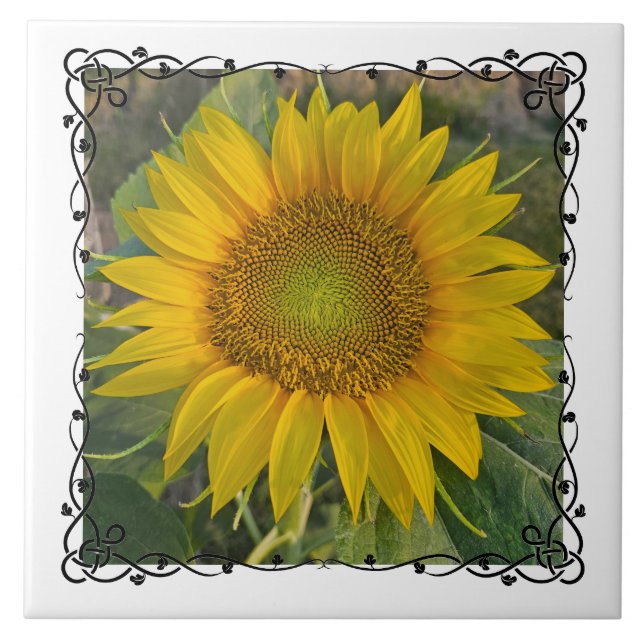 Ceramic Tile (Front)