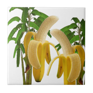 Ceramic Tile Banana Tree